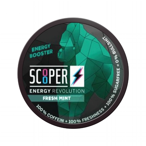 SCOOPER Energy Fresh mint 12 Stück/Dose